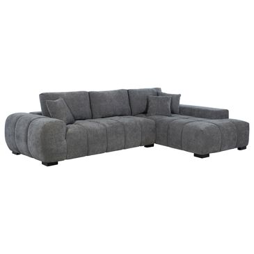 Pacific Landing Octavia 2-Piece Stationary Right Facing Sectional in Charcoal Gray, , large