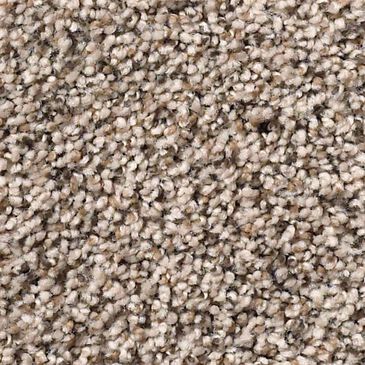 Anderson Tuftex Monarch Carpet in Hillside, , large