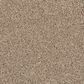 Mohawk Revive Carpet in Havana, , large
