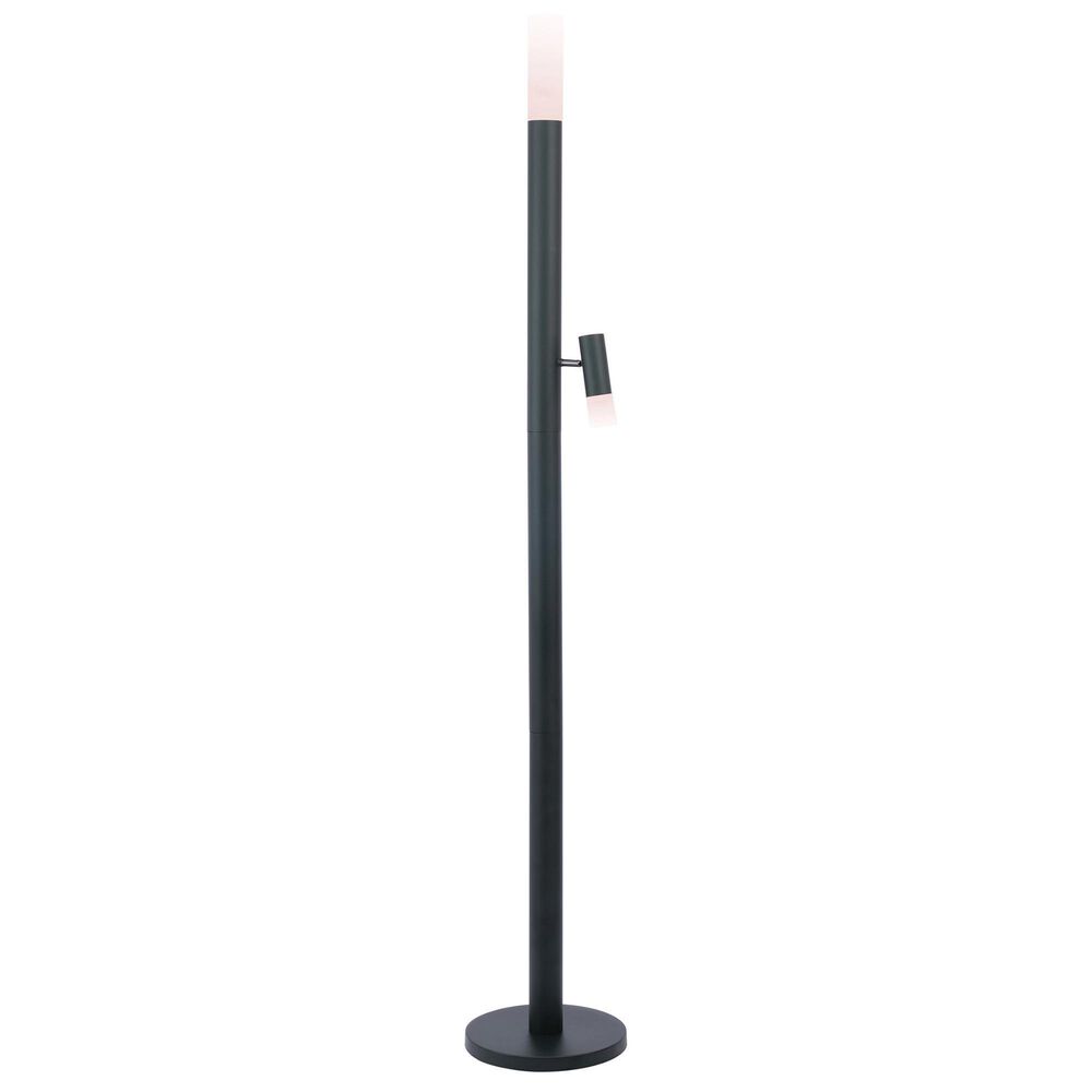 Lite Source Felinus LED Floor Lamp in Black, , large