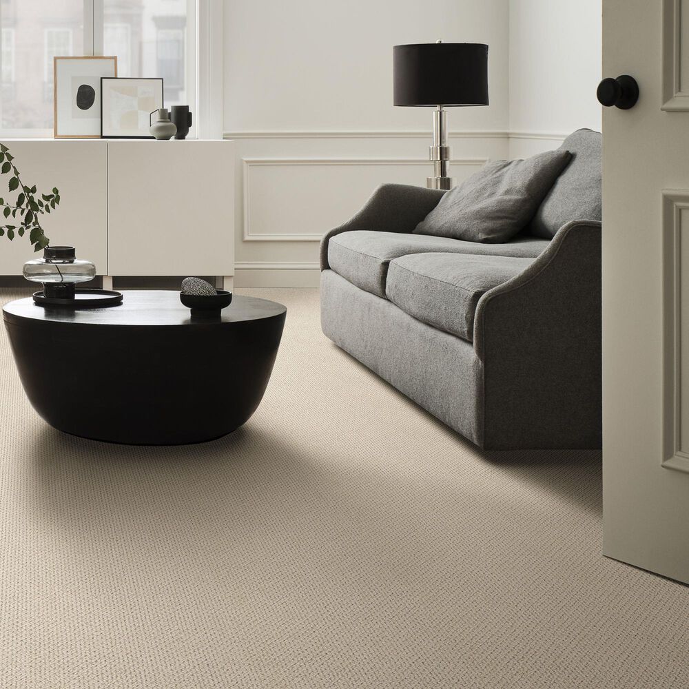 Anderson Tuftex Mera Carpet in Fleece, , large