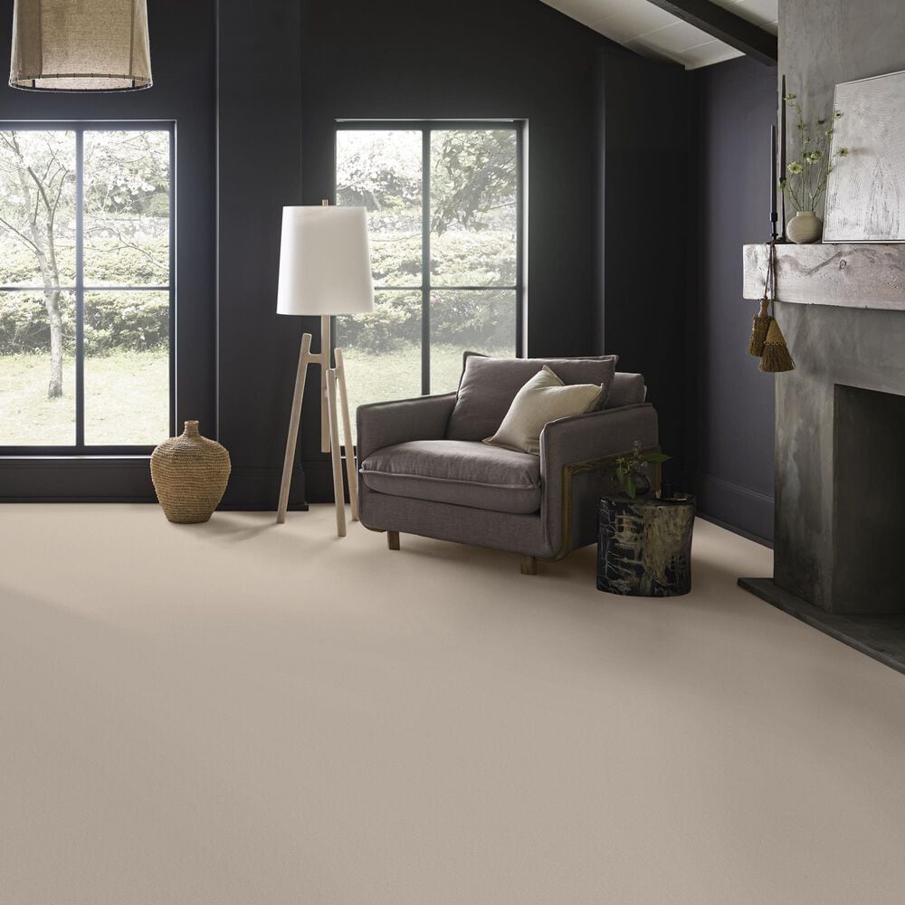 Anderson Tuftex Finery Carpet in First Frost, , large