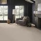 Anderson Tuftex Finery Carpet in First Frost, , large