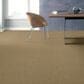 Shaw Foundations Alluring Disposition Carpet in Safari, , large