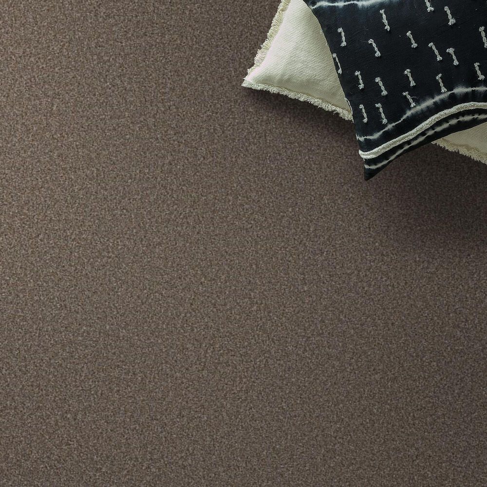 Shaw Tweed Comfort I Carpet in Gathering, , large