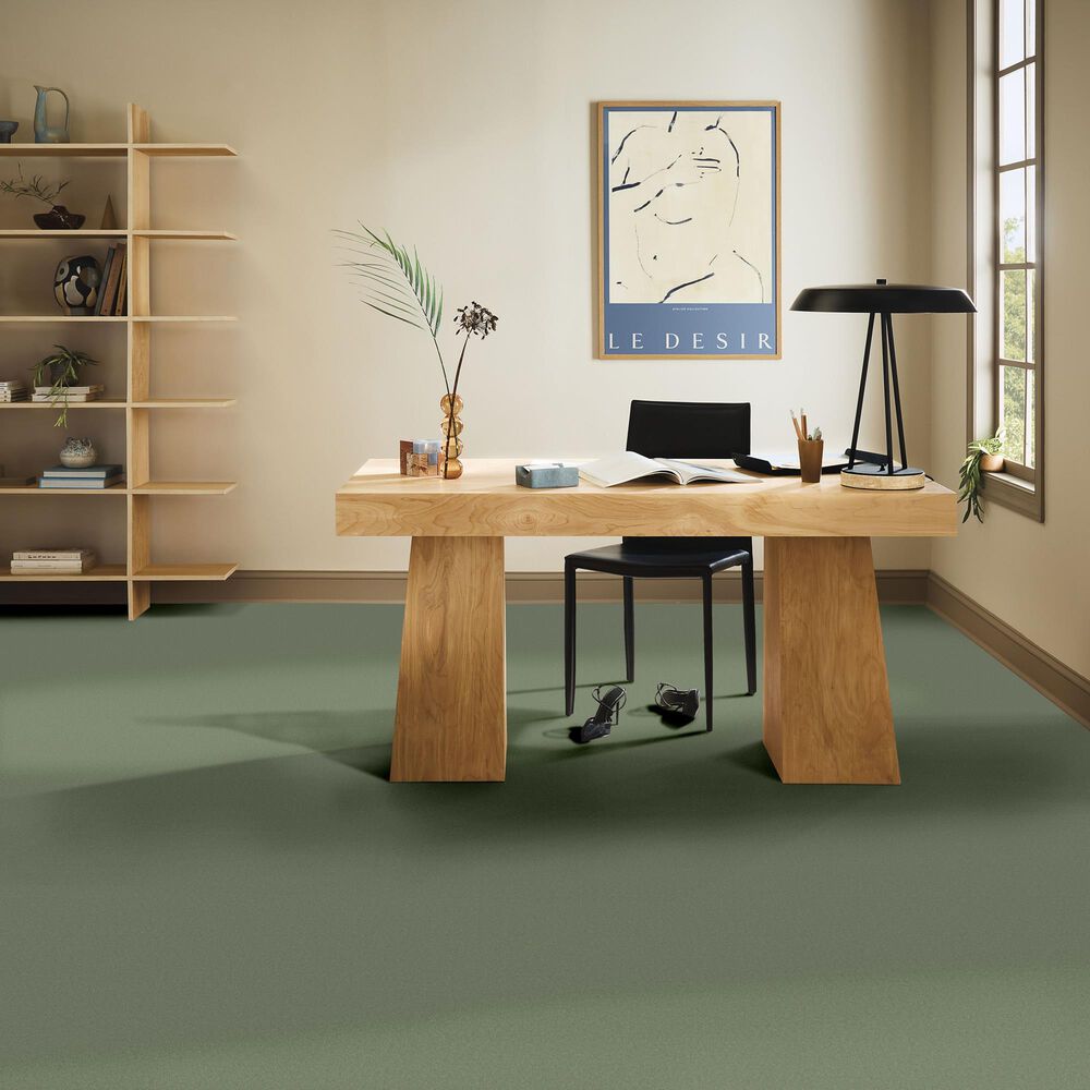 Anderson Tuftex Finery Carpet in Valley View, , large