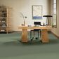 Anderson Tuftex Finery Carpet in Valley View, , large