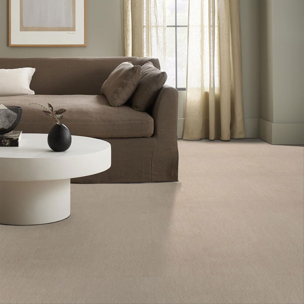 Anderson Tuftex Luxe Feel II Carpet in Sunlit, , large