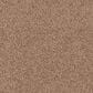 Dixie Home Big Splash Carpet in Sunset, , large