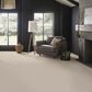Anderson Tuftex Crochet Carpet in Putty, , large