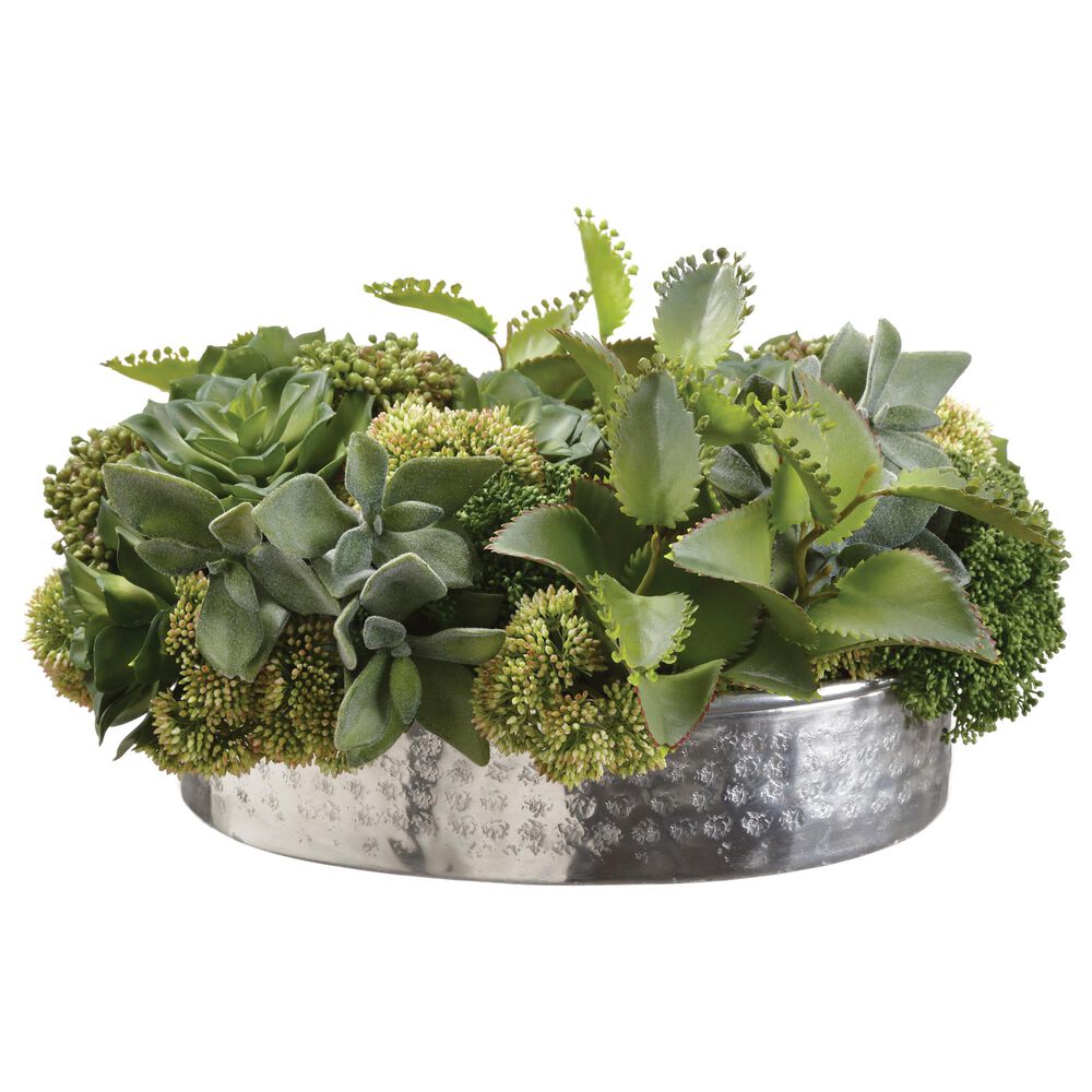 Allstate Floral and Craft Inc 9" Succulents/Kala Plant in Green, , large