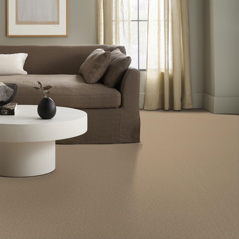 Anderson Tuftex Enchanting Carpet in Transparent, , large