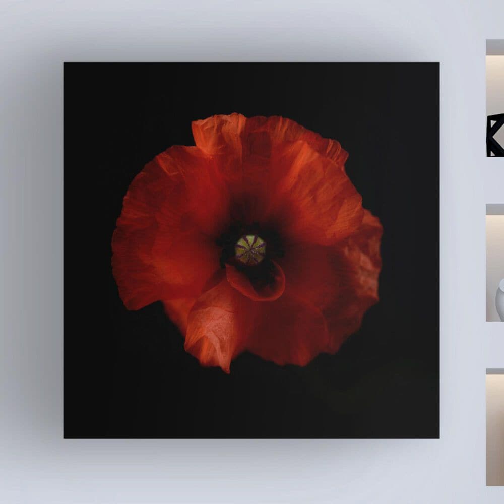 Timberlake Lotte Gronkjar "One Fresh Poppy" 35" x 35" Canvas Art, , large