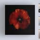 Timberlake Lotte Gronkjar "One Fresh Poppy" 35" x 35" Canvas Art, , large