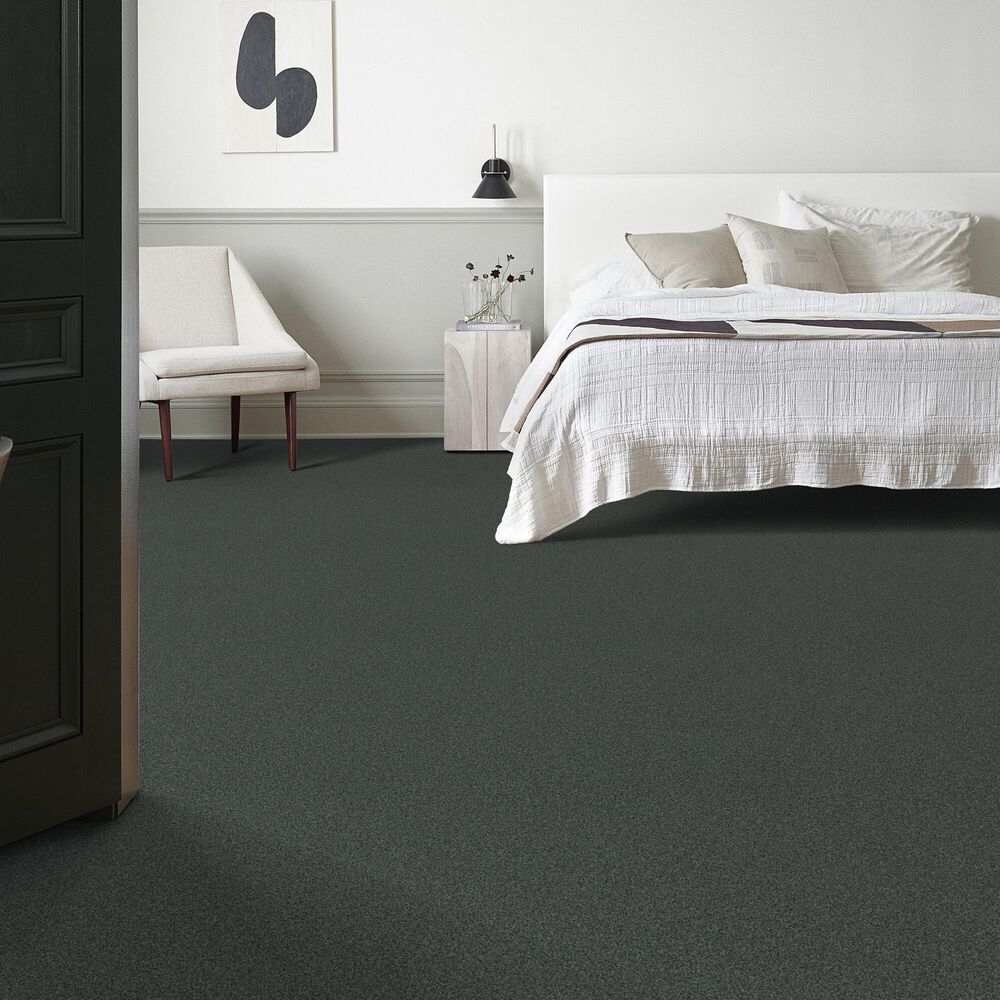 Anderson Tuftex Terra Nova Carpet in Submarine, , large