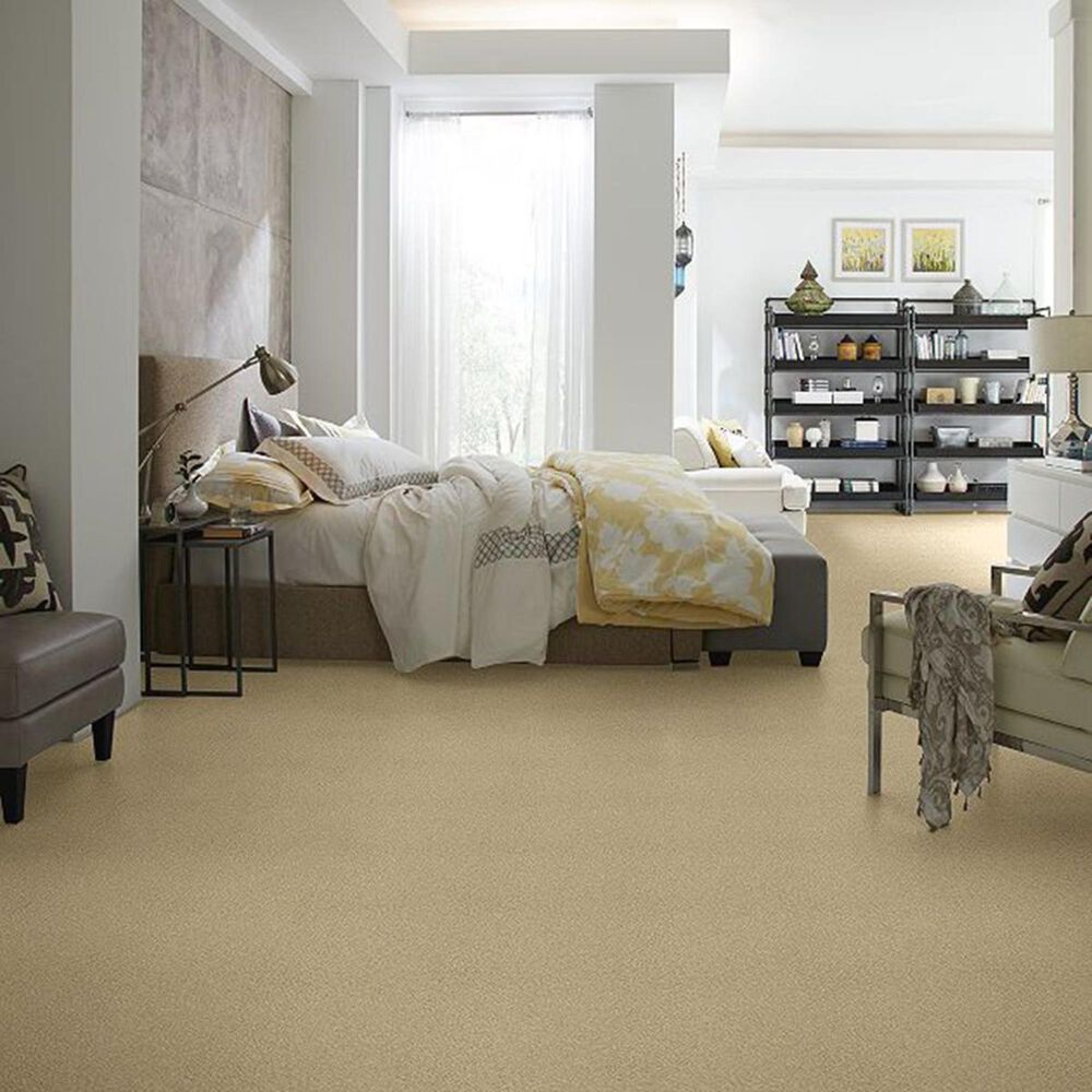 Anderson Tuftex Buddy Carpet in Karma, , large