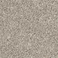 Philadelphia Delicate Feel I Carpet in Chic Taupe, , large