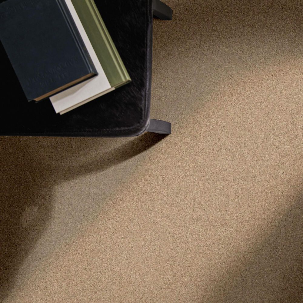 Anderson Tuftex Finery Carpet in Oak Ridge, , large