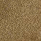 Masland Classical Carpet in Orchestra, , large