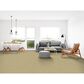 Dixie Home Simplicity Carpet in Touch Of Grey, , large