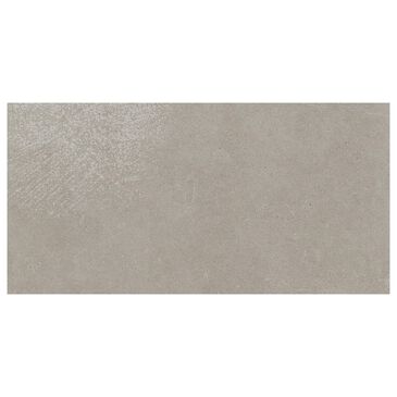 Dal-Tile Haut Monde Elite Grey 12" x 24" Matte Porcelain Tile, , large
