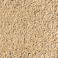 Anderson Tuftex Barracan Classic III Carpet in Manilla, , large