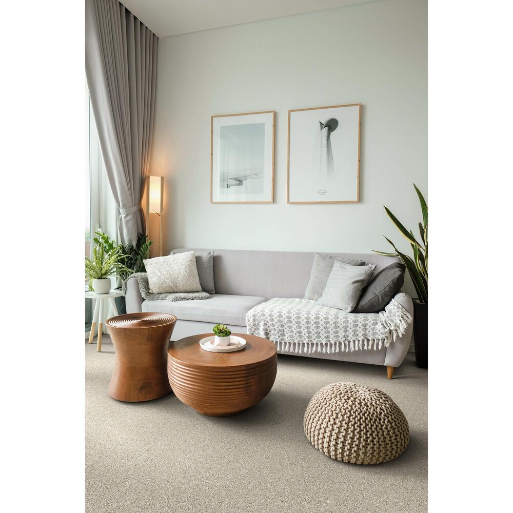 Dixie Home Riverbend Carpet in Opal, , large
