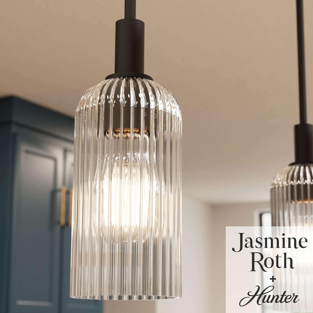 Hunter Beverly Glen Jasmine Roth 1-Light Mini Pendant in Matte Black, , large