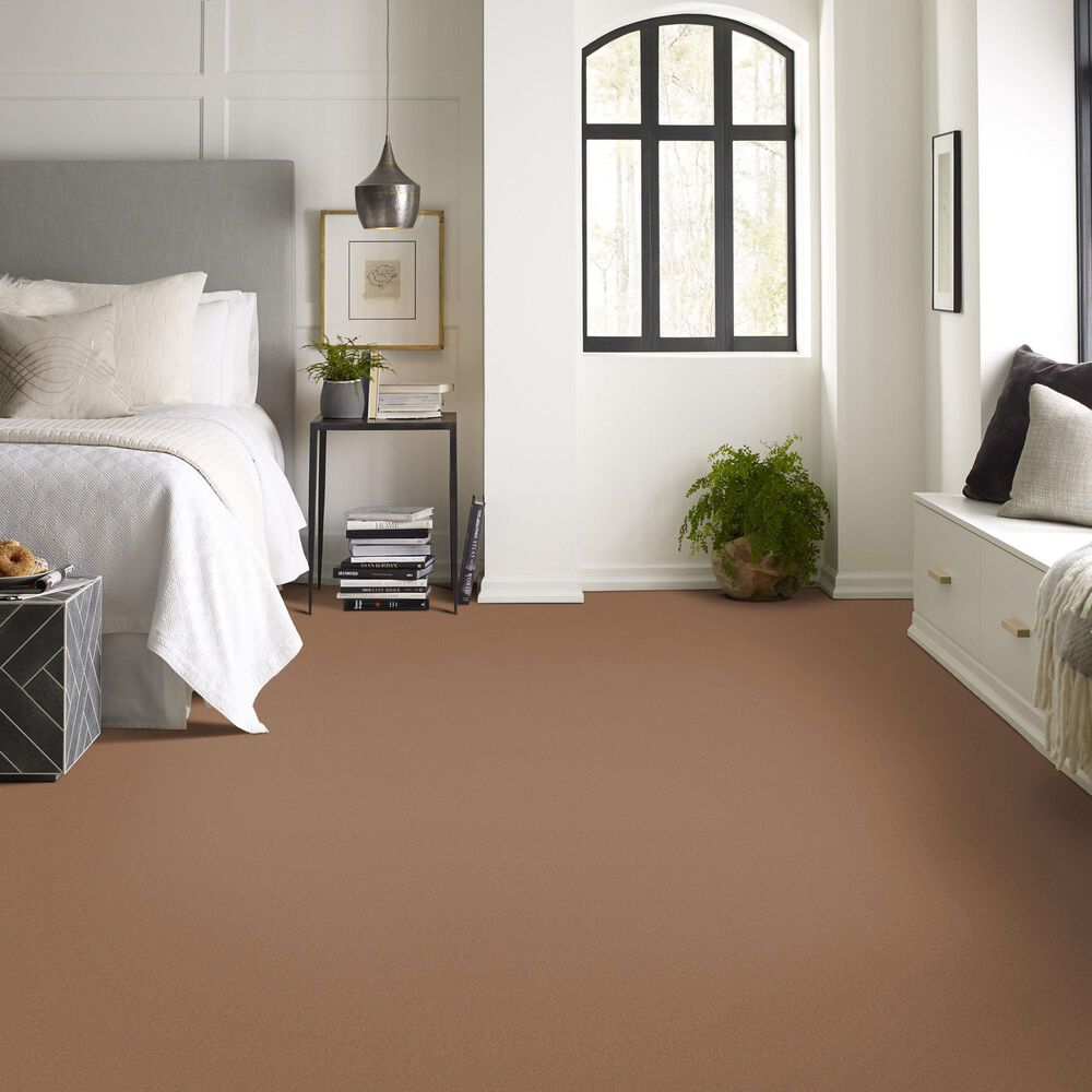 Anderson Tuftex Finery Carpet in Camel, , large