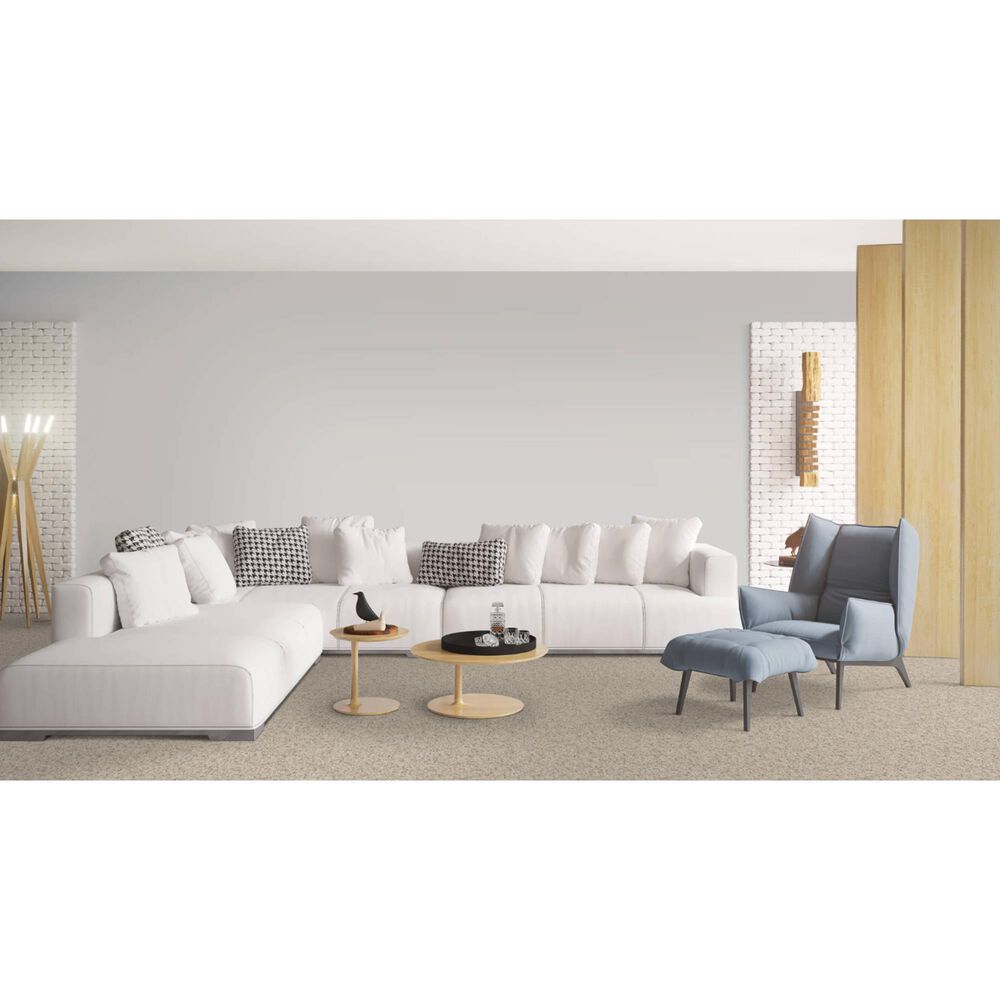 Dixie Home Bella Carpet in Pet, , large