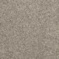 Mohawk Furry Friends II Carpet in Pebble Trail, , large