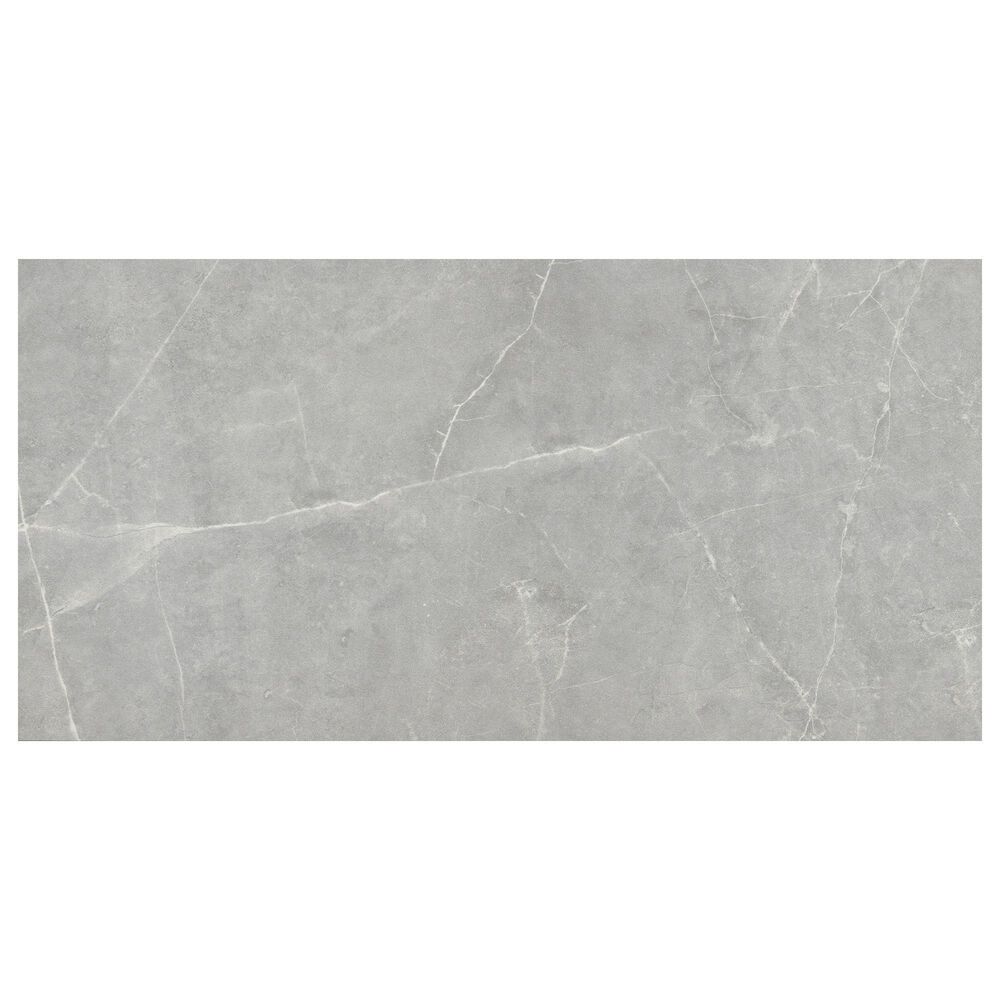 Emser Sterlina Gray 12" x 24" Polished Porcelain Tile, , large