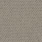Karastan Montrose Carpet in Tua Tua, , large