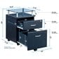 Rta Products Rolling File Cabinet with Glass Top in Graphite, , large
