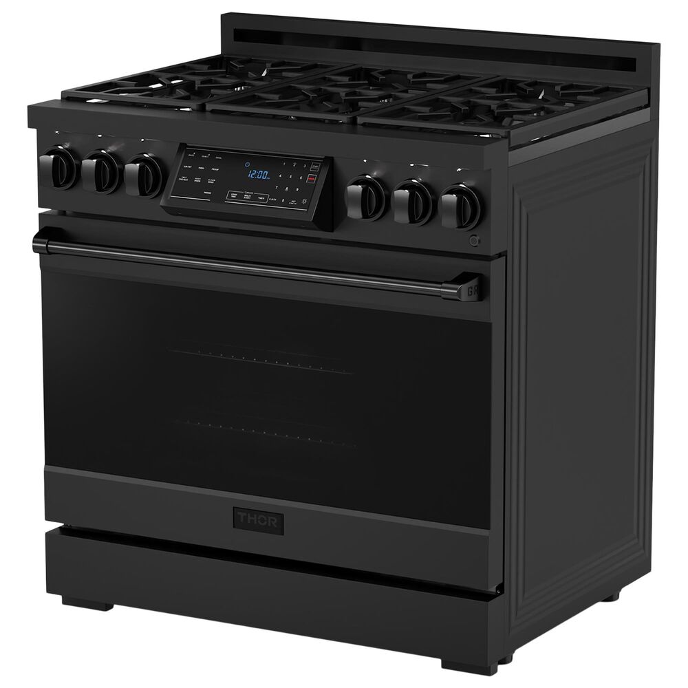 Thor Kitchen Gordon Ramsay 6 Cu. Ft. Professional Natural Gas Range in Black, , large