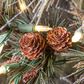 The Gerson Company 7.5" Scotch Pine Christmas Tree with Clear Lights in Green, , large
