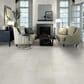Dal-Tile Outlander Palazzo Moonlight 24" x 48" Porcelain Tile, , large