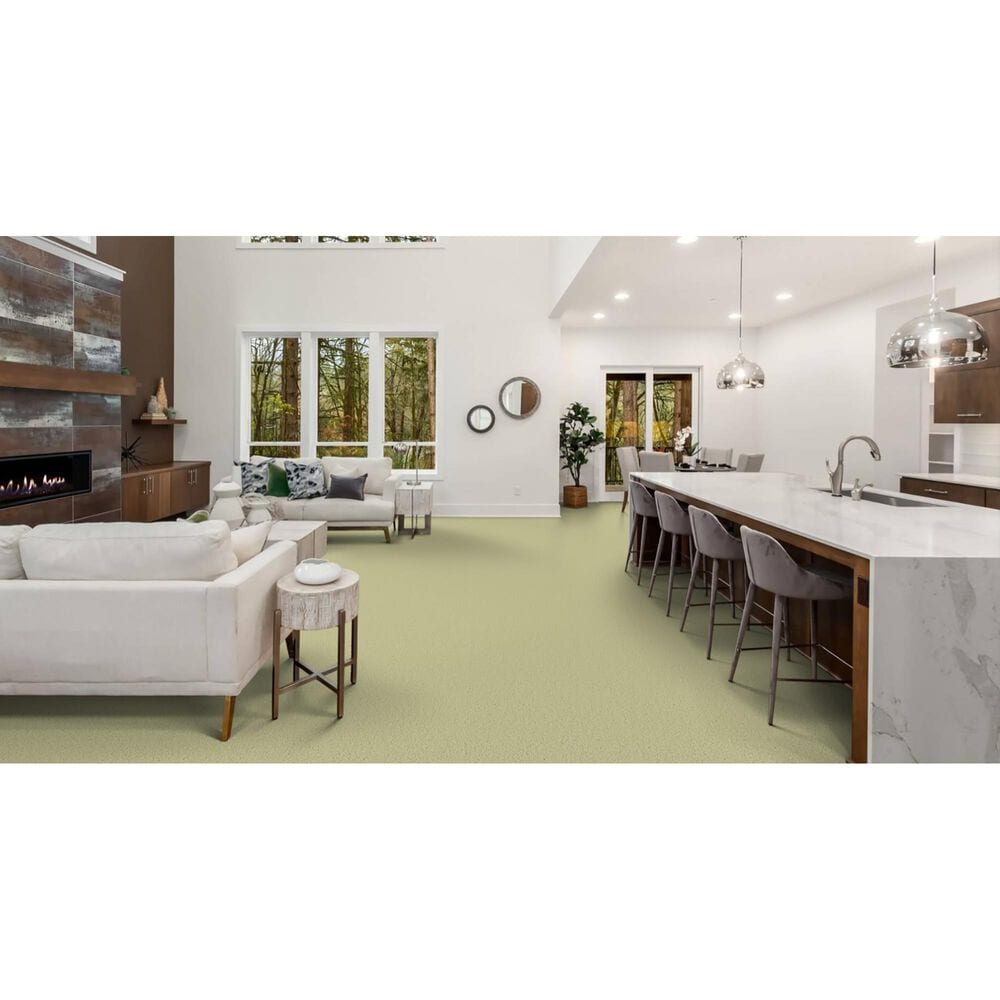 Masland Miami Carpet in Springhill, , large