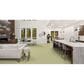 Masland Miami Carpet in Springhill, , large