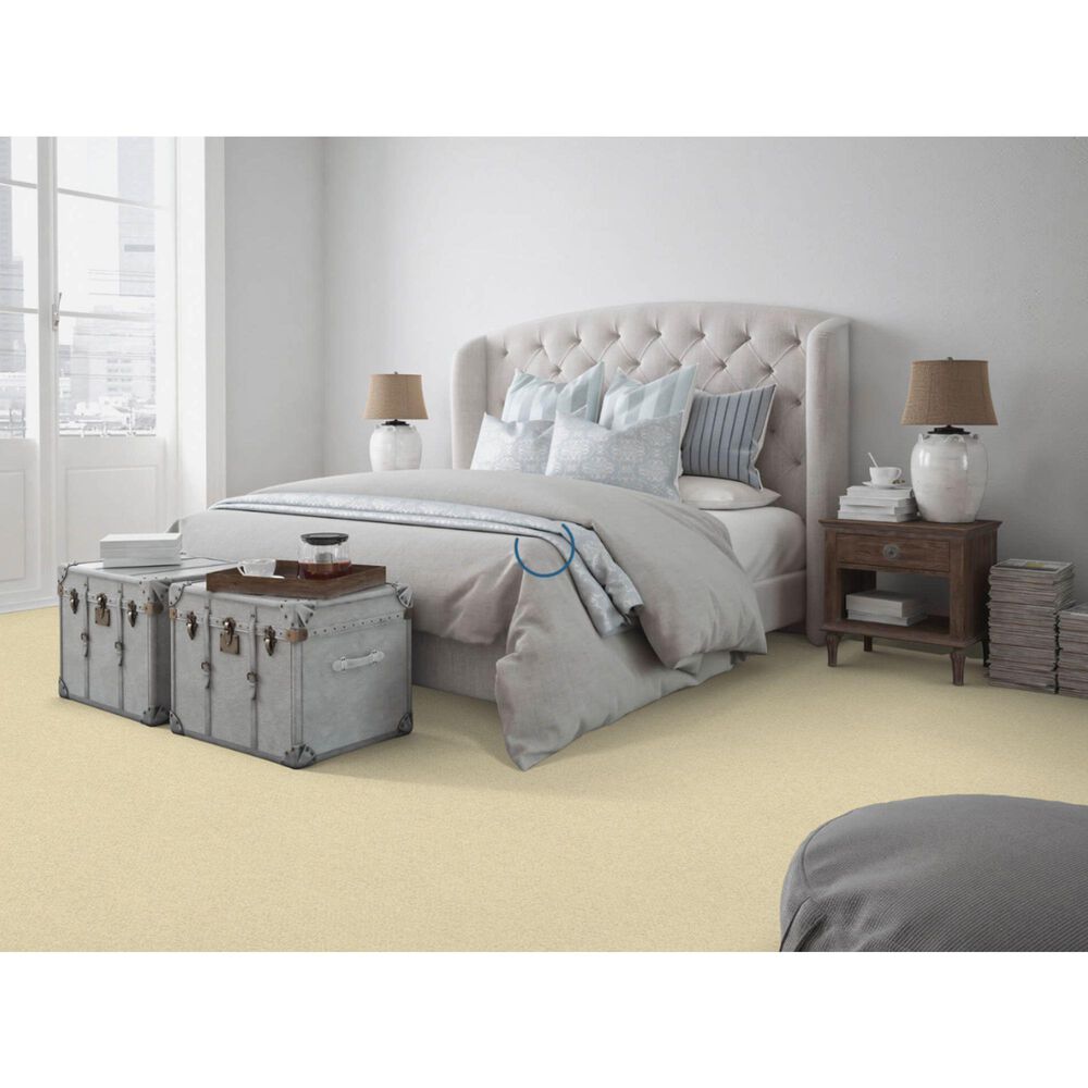Dixie Home Simplicity Carpet in Water Chestnut, , large