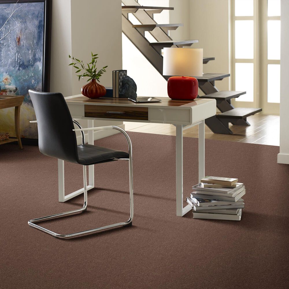 Shaw Simply the Best Momentum II Carpet in Farmhouse, , large