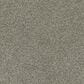 Shaw Acadia Park Carpet in City Gray, , large