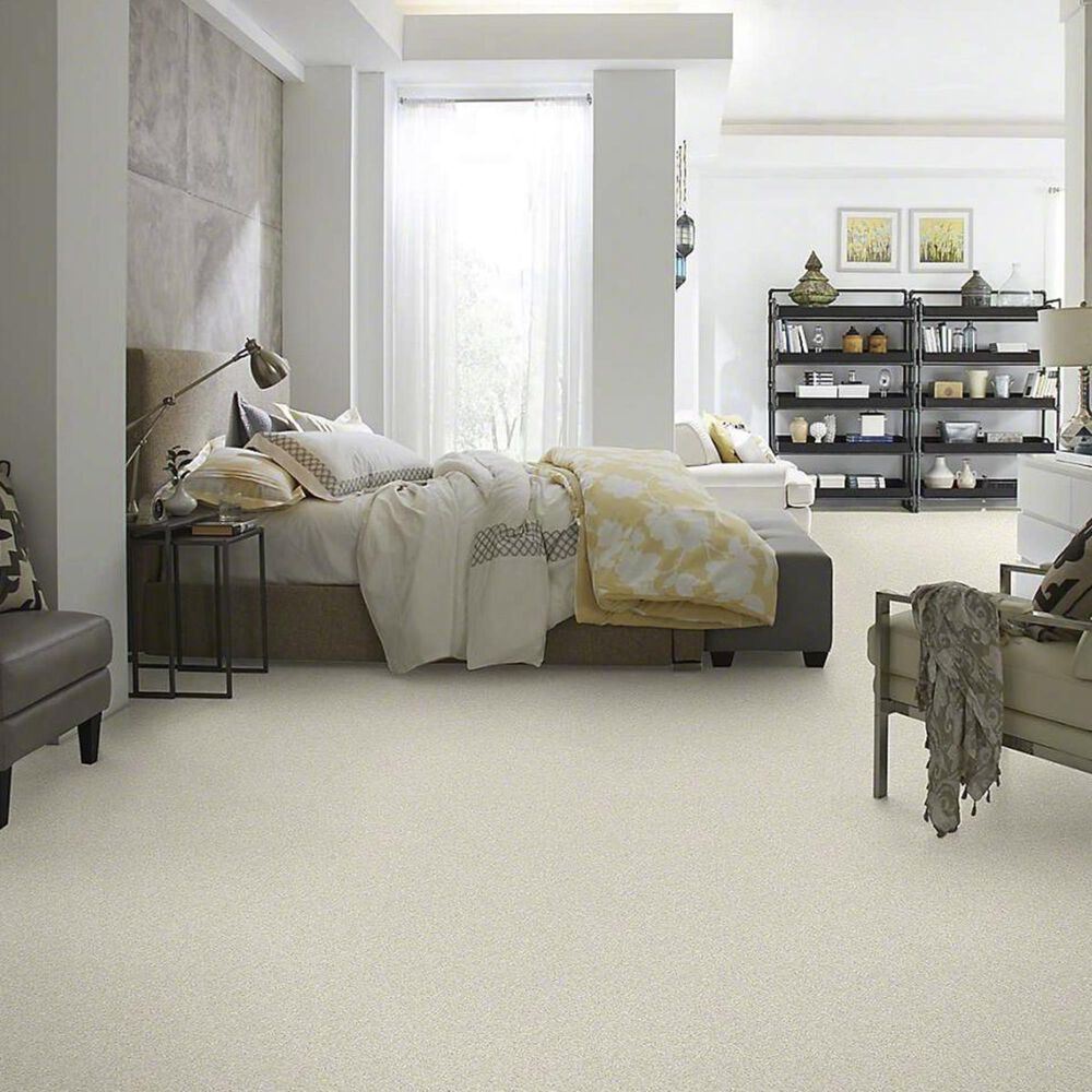 Anderson Tuftex Barracan Classic I Carpet in Cheviot, , large