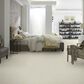 Anderson Tuftex Barracan Classic I Carpet in Cheviot, , large