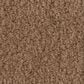 Anderson Tuftex Luxe Feel II Carpet in Radiance, , large