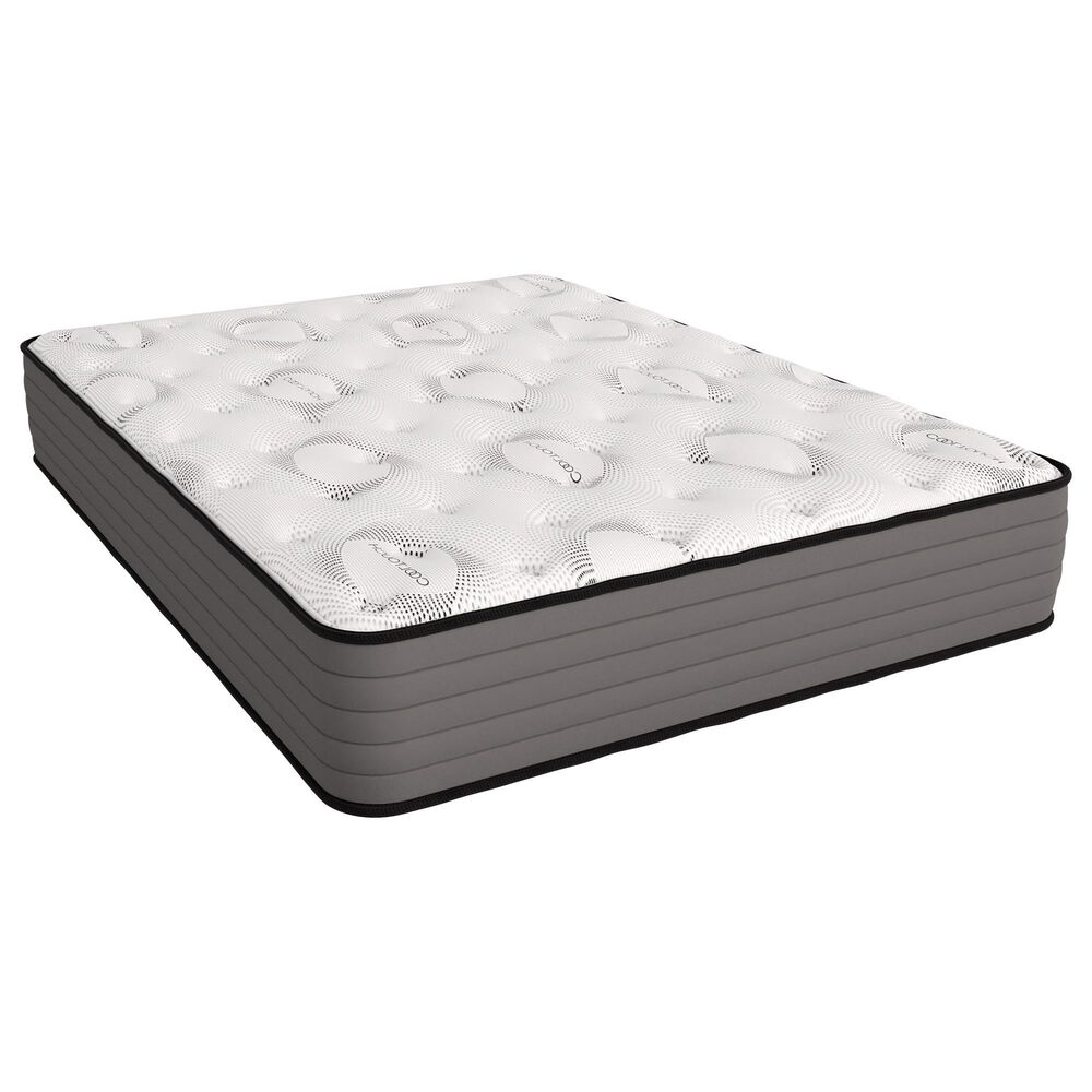 Southerland B"s Sleep Iris Medium Queen Mattress in a Box, , large