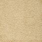 Mohawk Dahlia Harbor Carpet in Crewelwork, , large