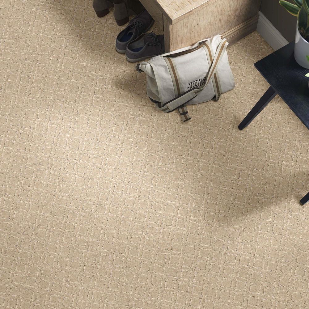 Anderson Tuftex Renoir Carpet in Oak Ridge, , large