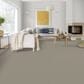Dixie Home Main Force Carpet in Shale, , large