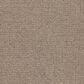 Masland Remarkable Carpet in Driftwood, , large